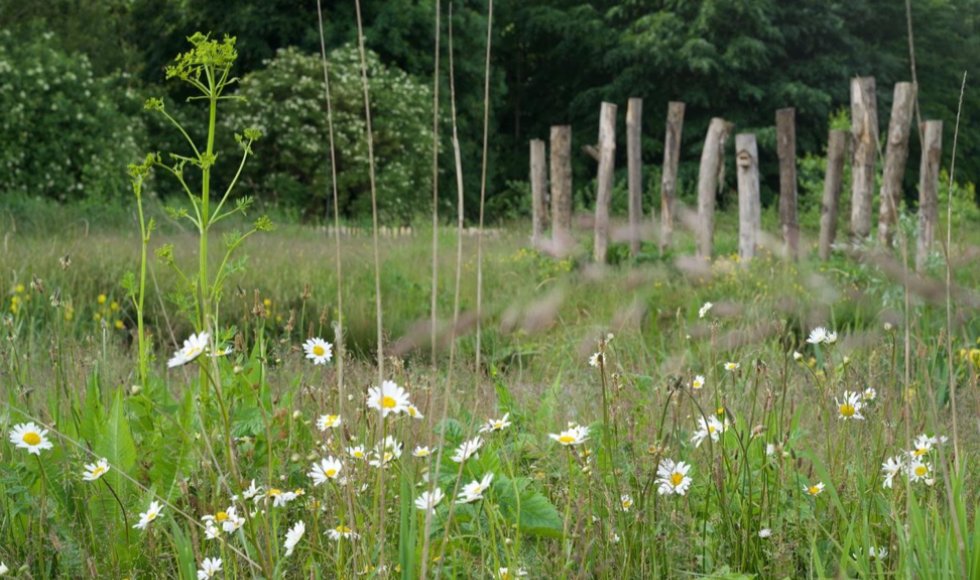 Imkerij Kirsten Bosch