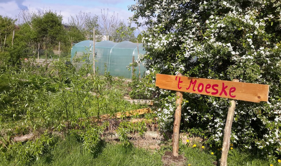 't Moeske