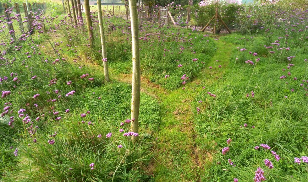 ecotuin van Kristof Van Lancker