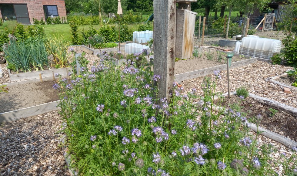 ecotuin van Kristof Van Lancker