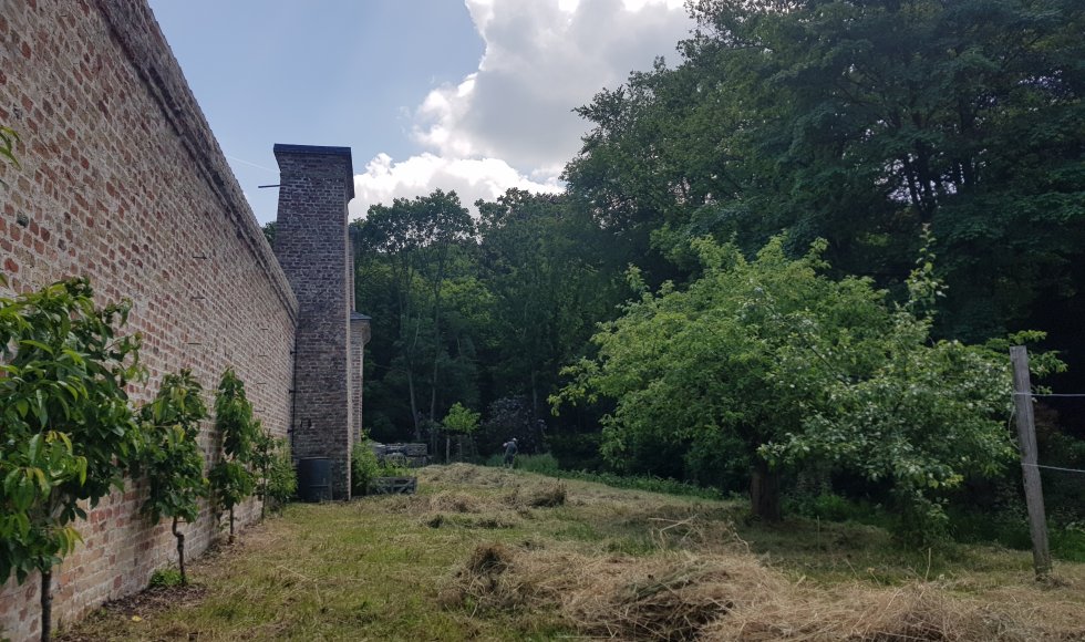 Ecotuinieren op de hoeve bij kasteel Forreist