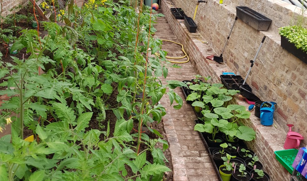 Ecotuinieren op de hoeve bij kasteel Forreist