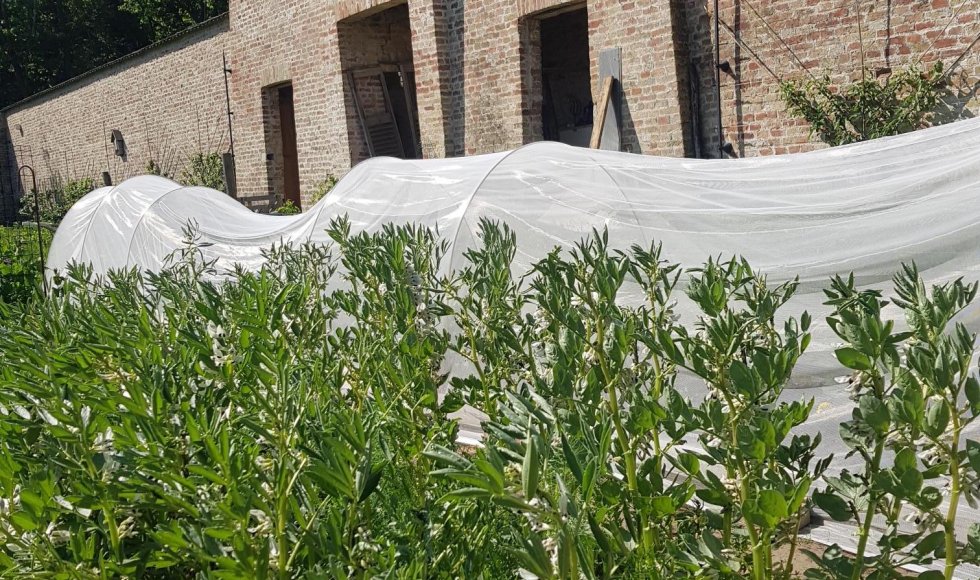Ecotuinieren op de hoeve bij kasteel Forreist