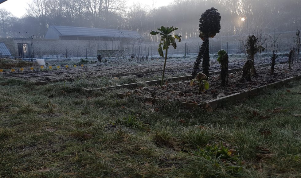 Ecotuinieren op de hoeve bij kasteel Forreist