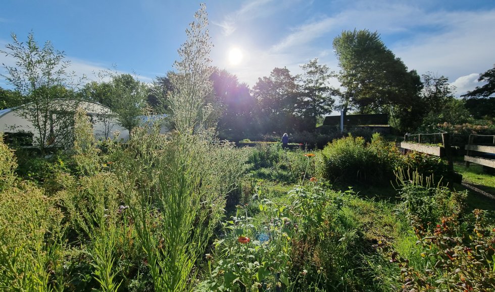 Landgoed BuitenLeeft