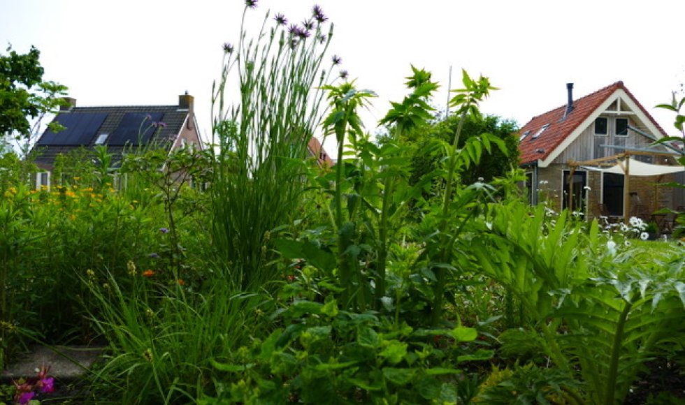 Scouting van de familie Pieksma