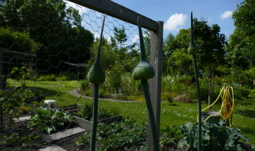 Scouting van de familie Pieksma
