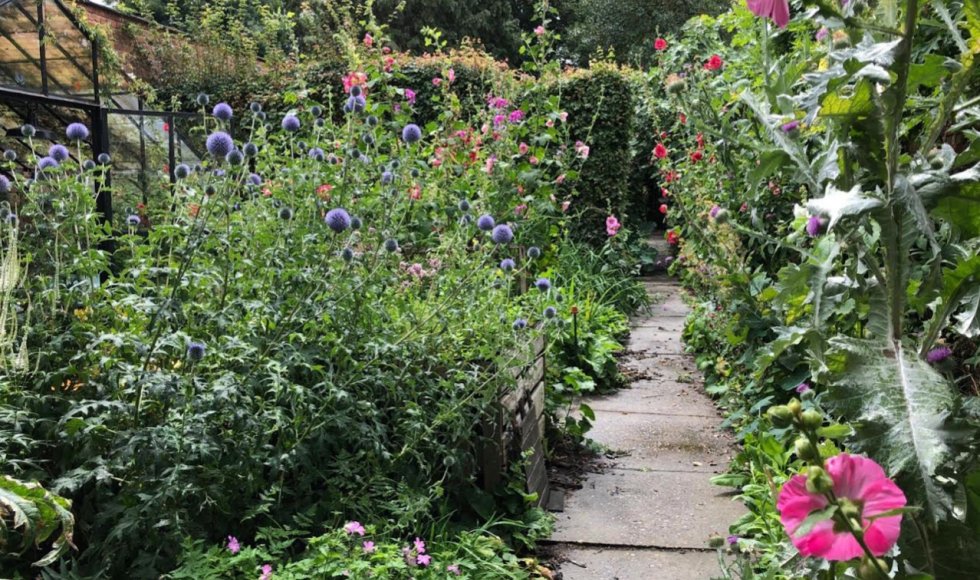 kleine eetbare stadsjungle