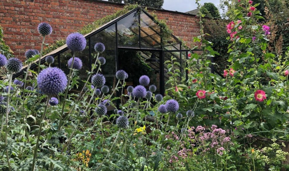 kleine eetbare stadsjungle