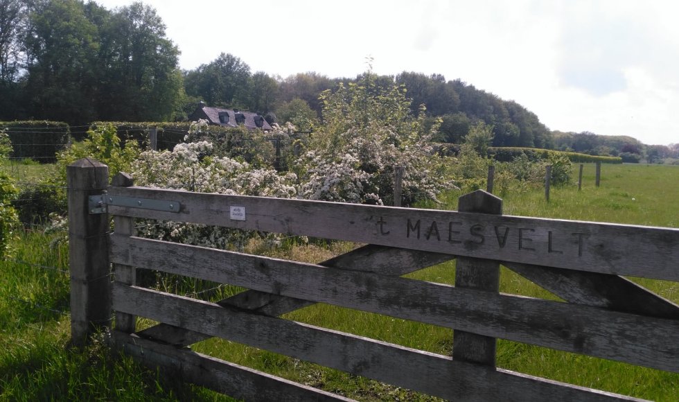 Aan 't Maesvelt