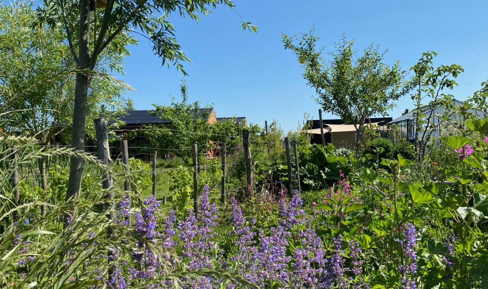 ecotuin van Anne-Marie en Walter