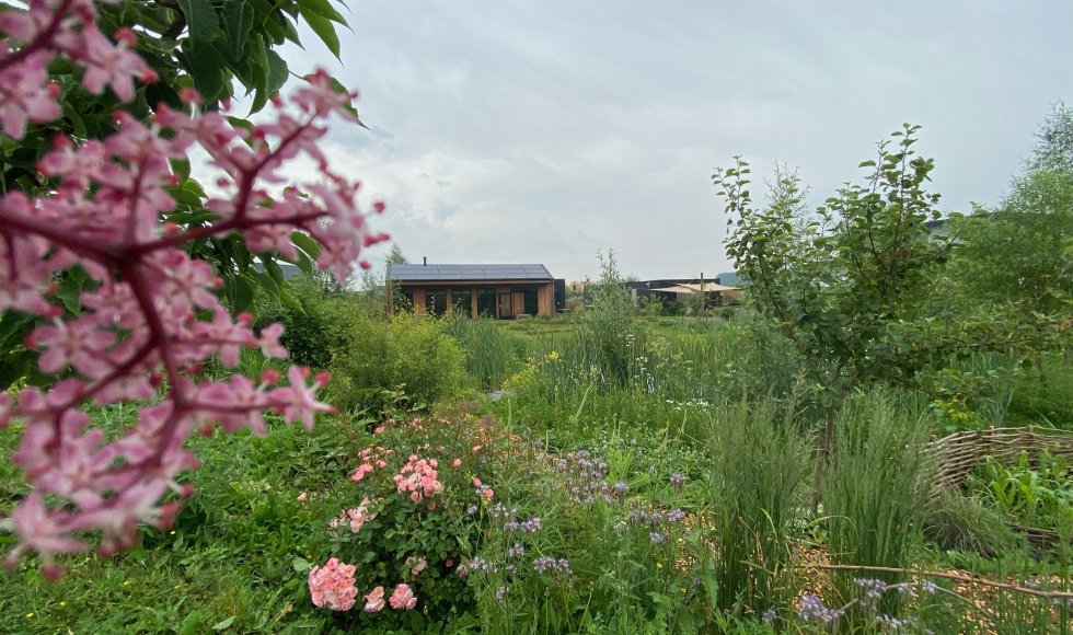 ecotuin van Anne-Marie en Walter