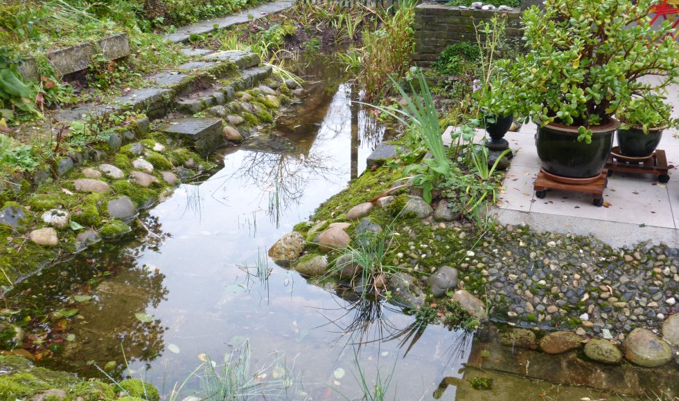 In 't Groen Leven - tuin van Frans en Moniek 2