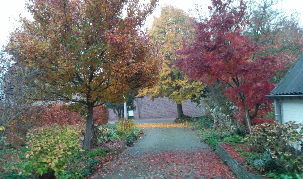 In 't Groen Leven - tuin van Frans en Moniek 3