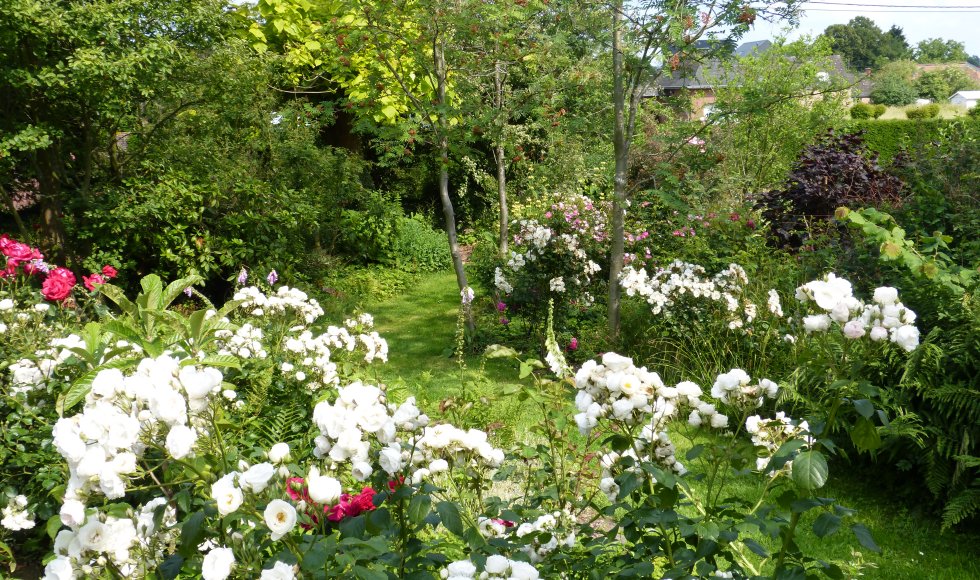 In 't Groen Leven - tuin van Frans en Moniek 4
