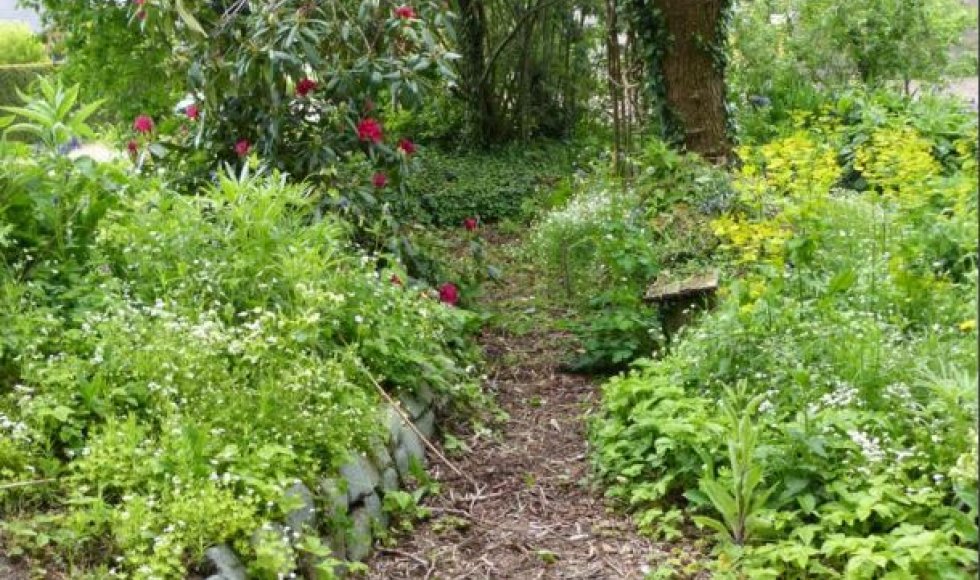 Frans De Smedt Boek 50 jaar Velt