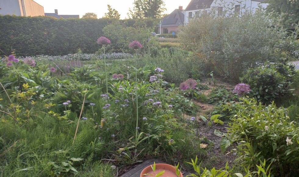 De Pinte Ecotuin van de familie D'Hooge-Vanmullem 9