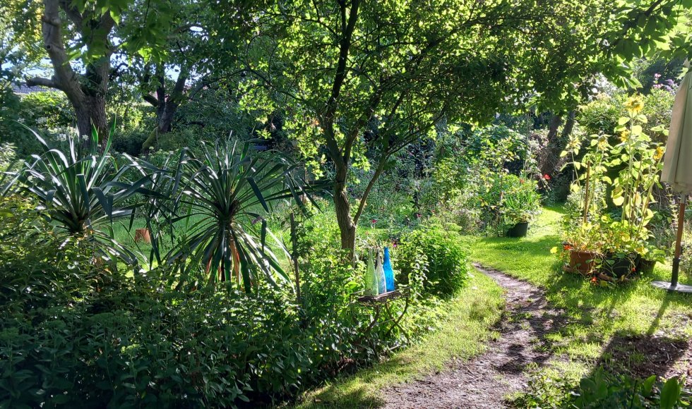 Kaulille Ecotuin van de familie Black-Huskens 1