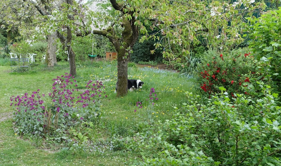 Kaulille Ecotuin van de familie Black-Huskens 2