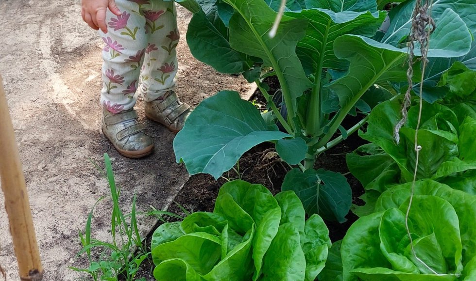 Het Netepaleis in Kessel 10