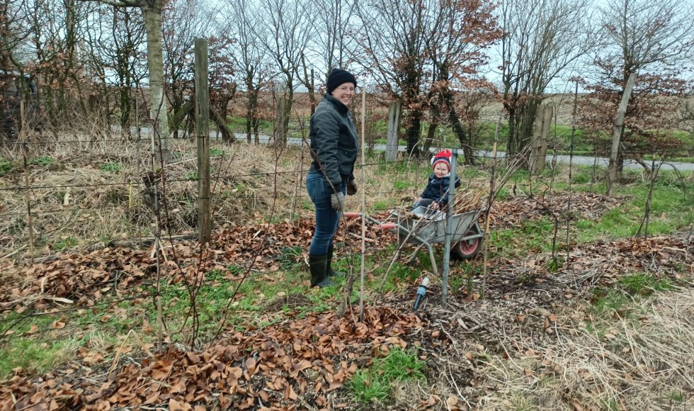 Klerken de fruitweide1