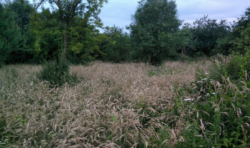 Klerken de fruitweide3