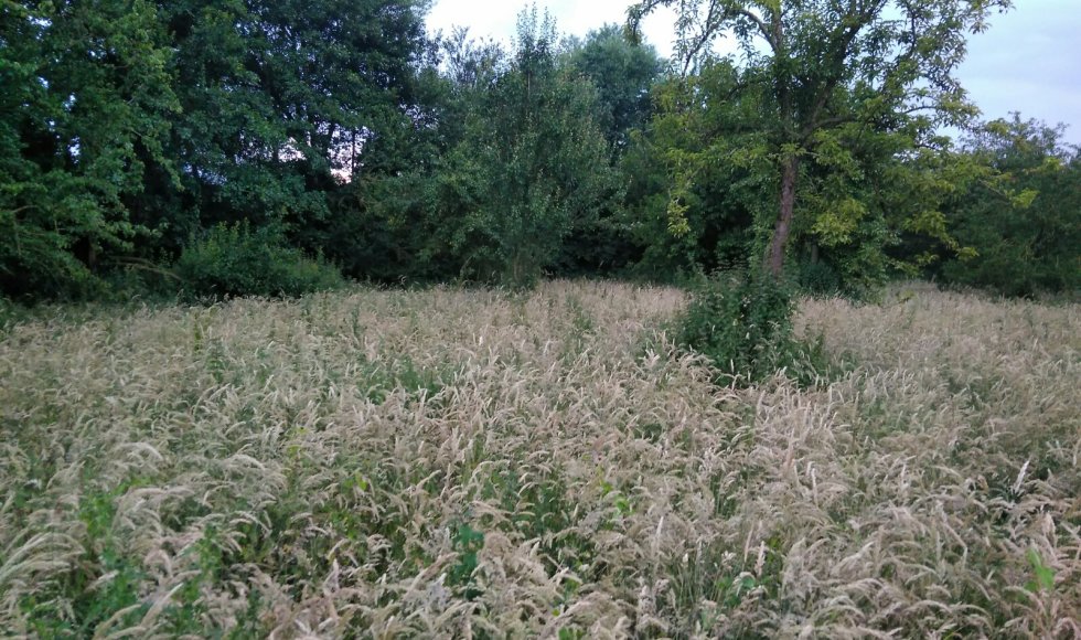 Klerken de fruitweide4