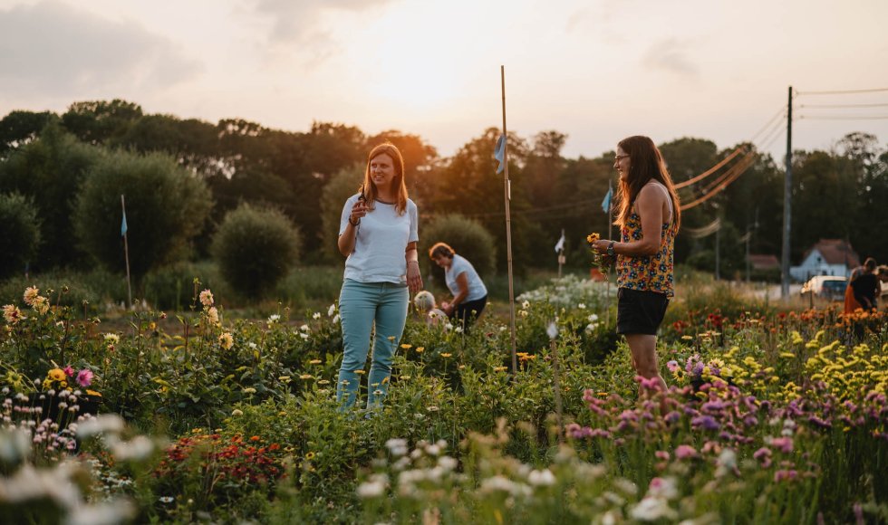 CSA bloemenboerderij De Makker