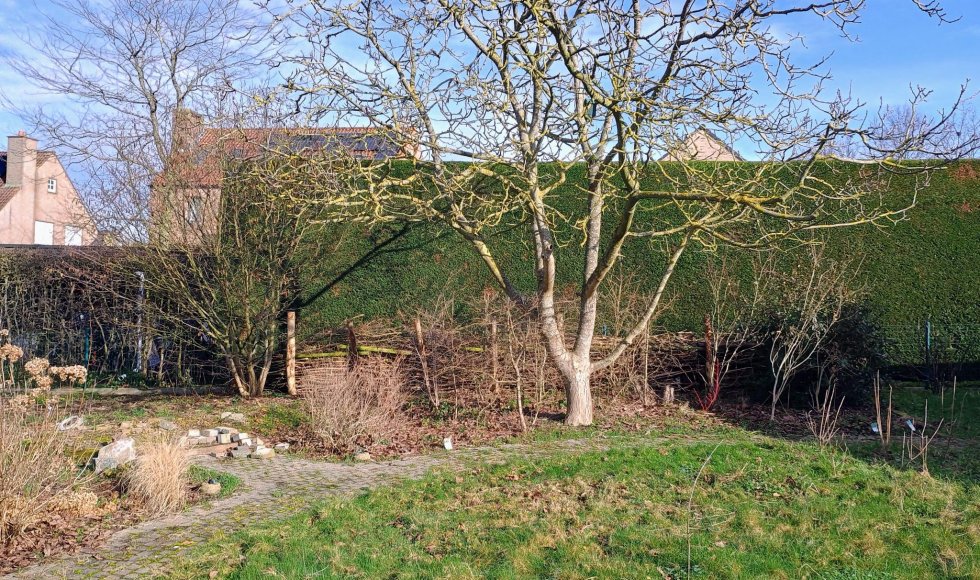 Kortrijk Een biodivers eiland 1