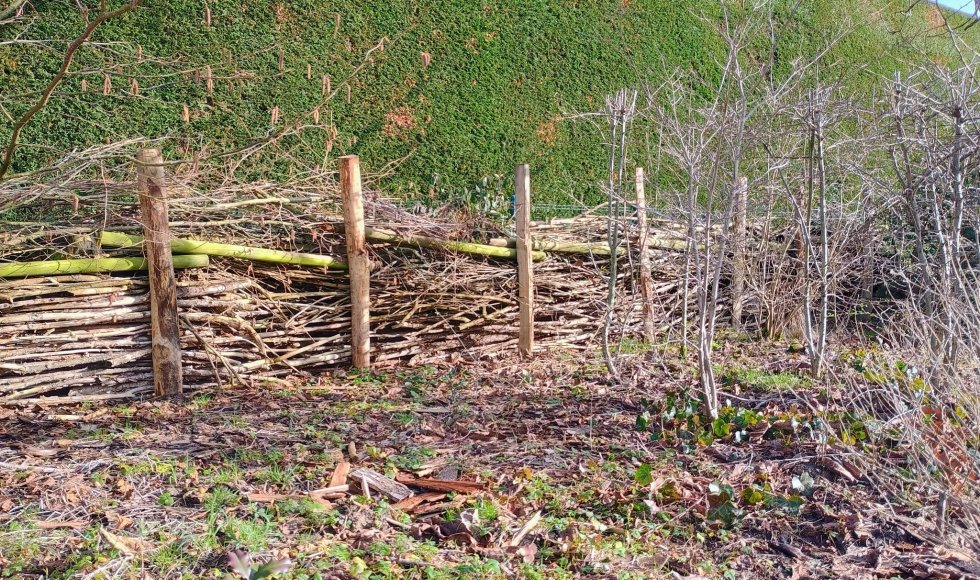 Kortrijk Een biodivers eiland 5