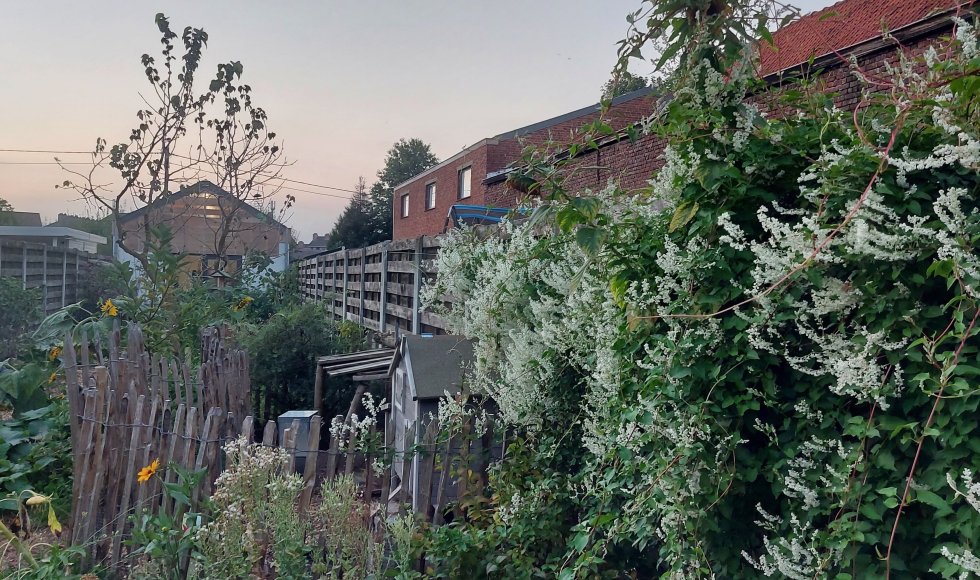 ecotuin Hannelore en Louis