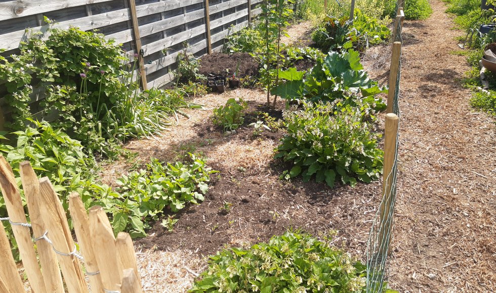 ecotuin Hannelore en Louis