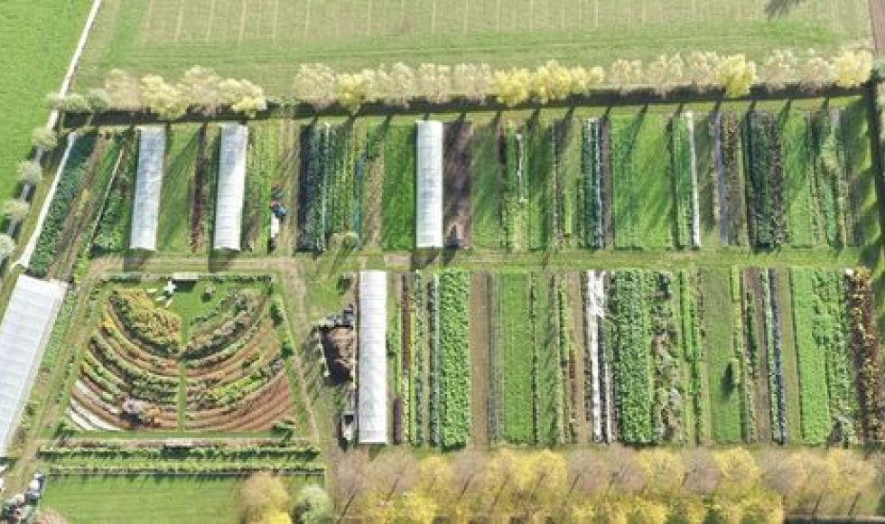 Oudenaarde Laurences moestuin1