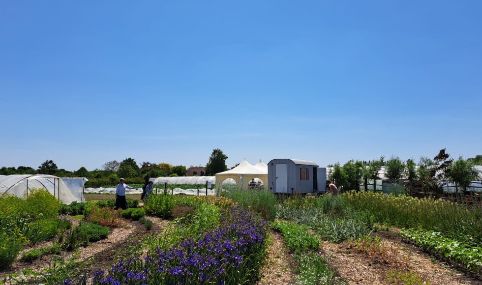 Oudenaarde Laurences moestuin 2