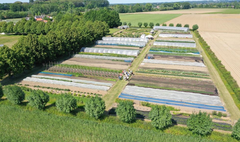 Oudenaarde Laurences moestuin 4