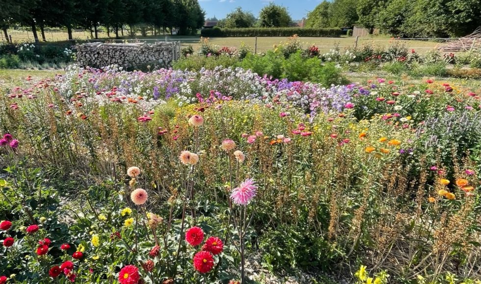 Oudenaarde Laurences moestuin 5