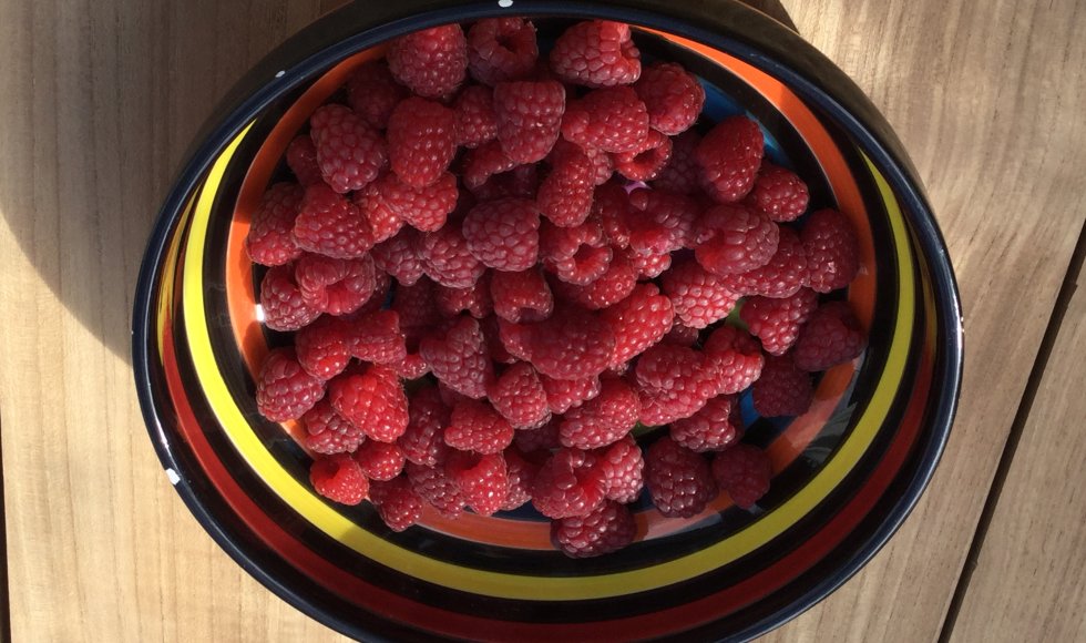 Lede familietuin van Els 2