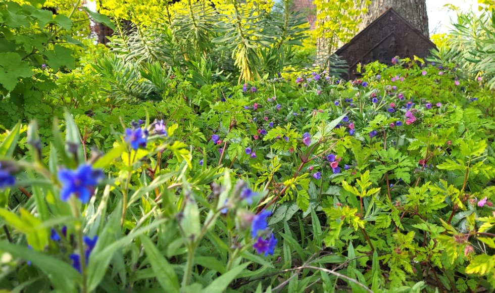 Lokeren_Equota_Sebastian Ivens_nieuwe tuin