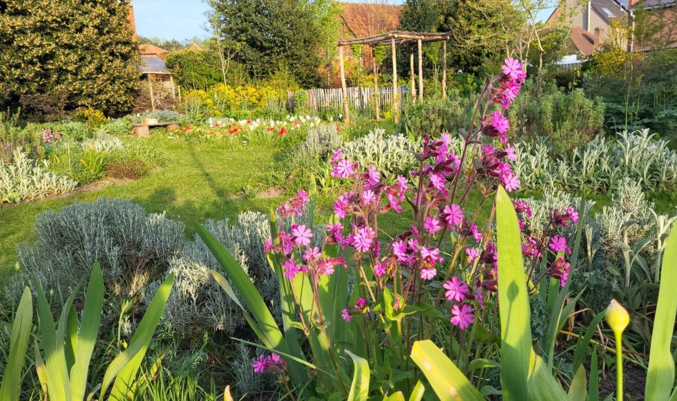 Lokeren_Equota_Sebastian Ivens_nieuwe tuin