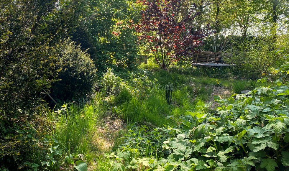 Luttenberg_Abels Bos