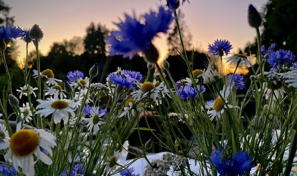 Maastricht Hof Van Heer 1