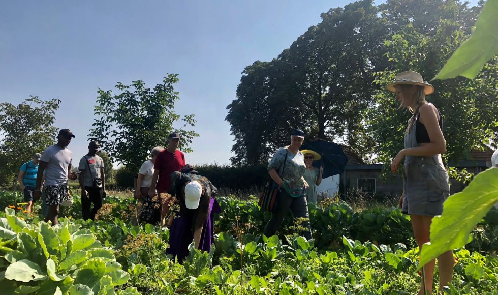 Malden Het Heerlijke Land 4