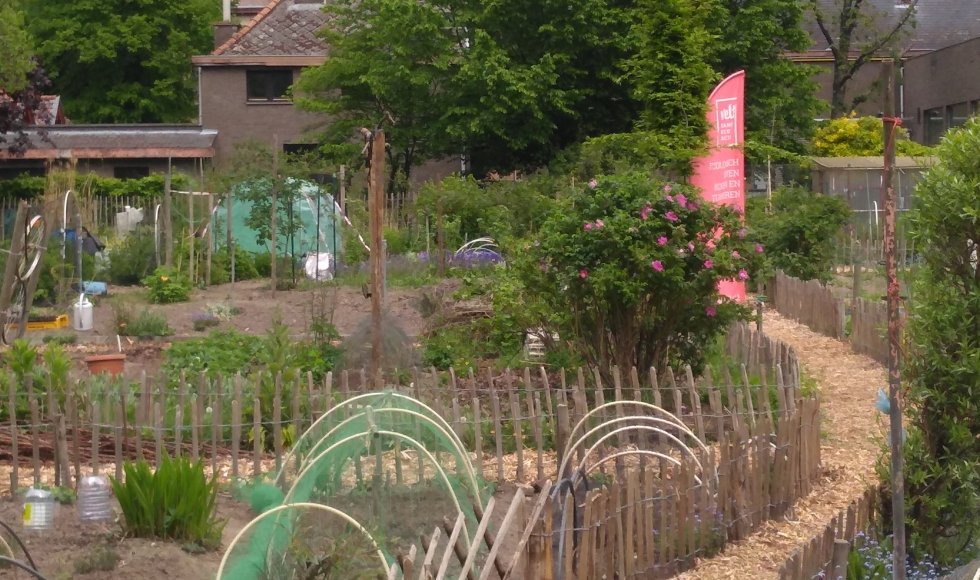 Velt-tuintjes Mariakerke