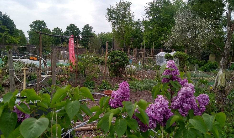 Velt-tuintjes Mariakerke