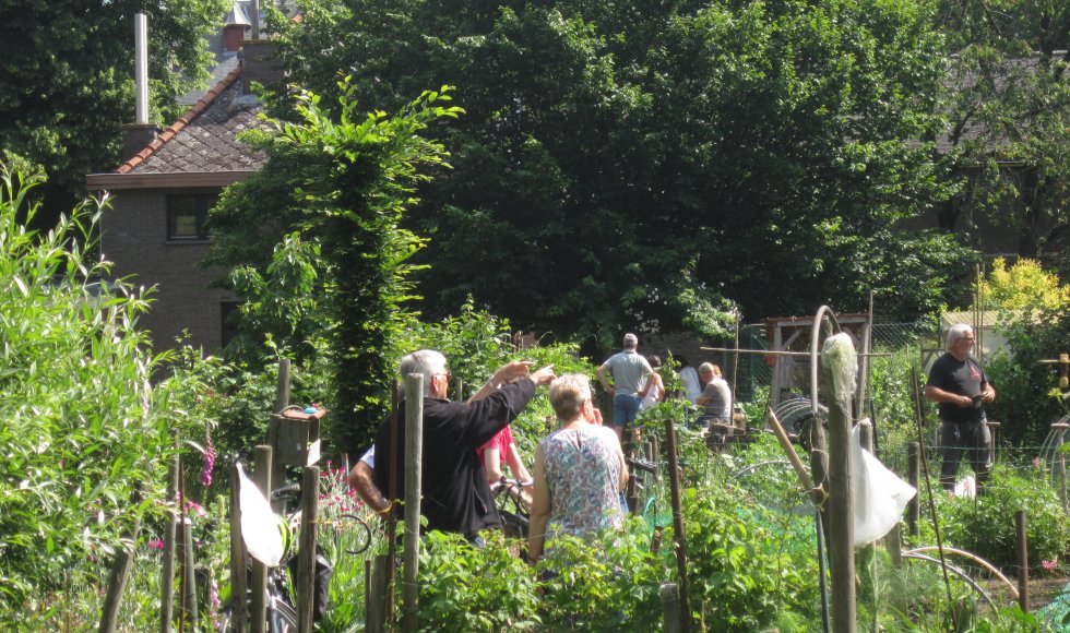 Velt-tuintjes Mariakerke