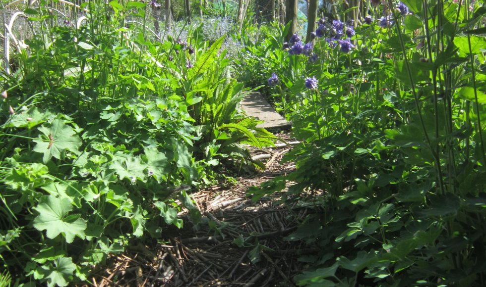 Velt-tuintjes Mariakerke