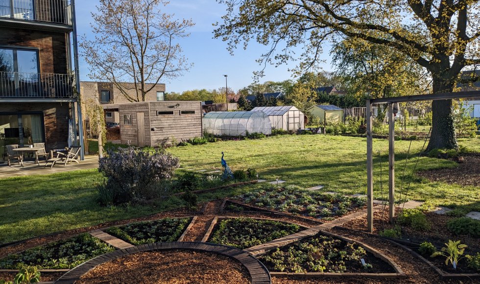 Tuin Aardpeerhof 3, Mechelen