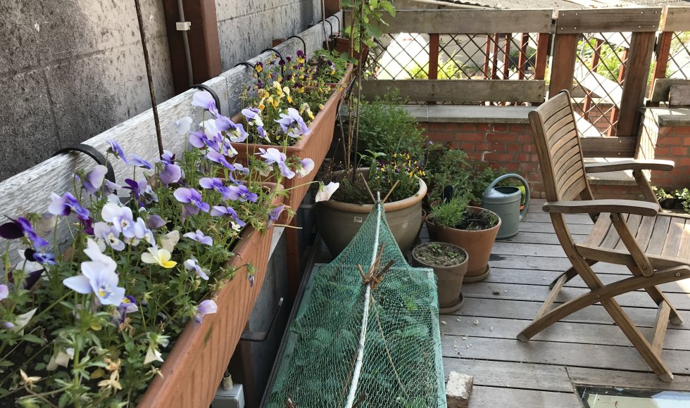 Mechelen_Nekkerspoelstraat