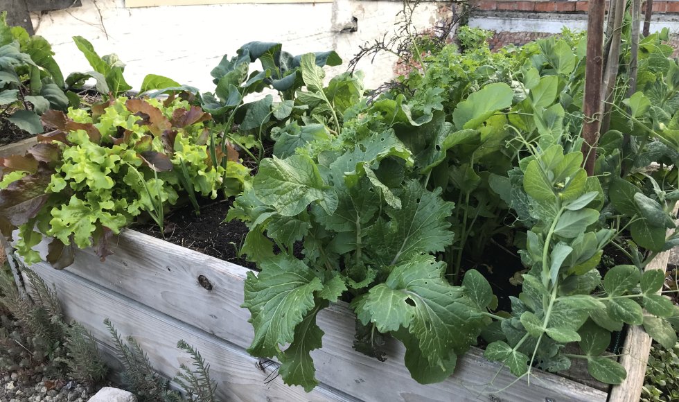 Mechelen_Nekkerspoelstraat