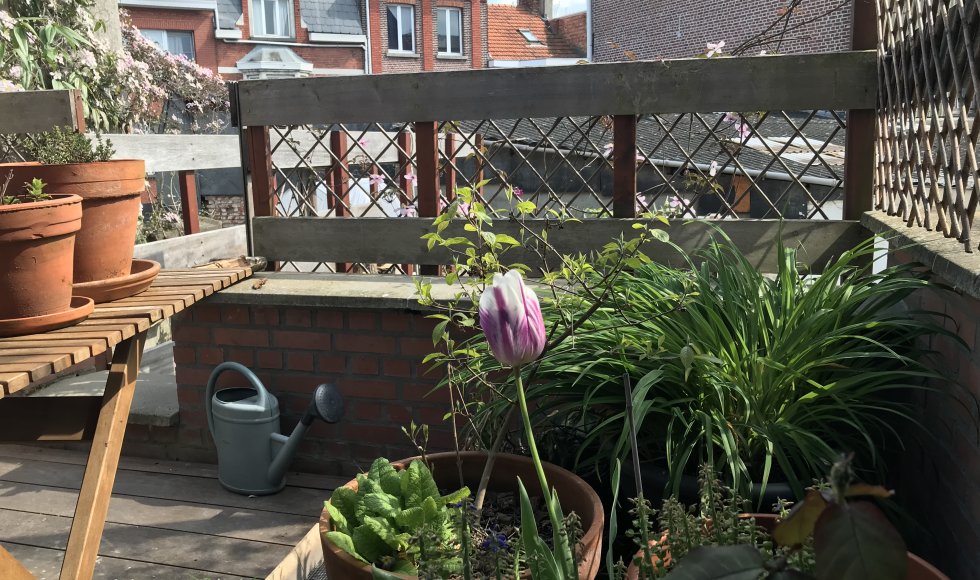 Mechelen_Nekkerspoelstraat